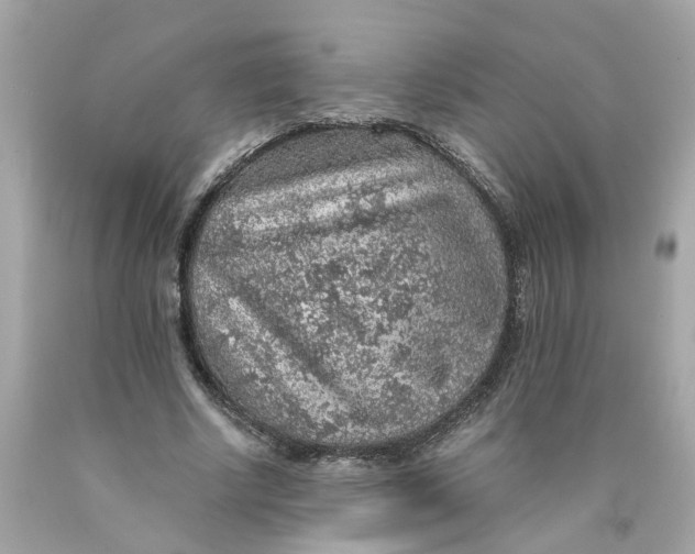 X0000089970634200707202011