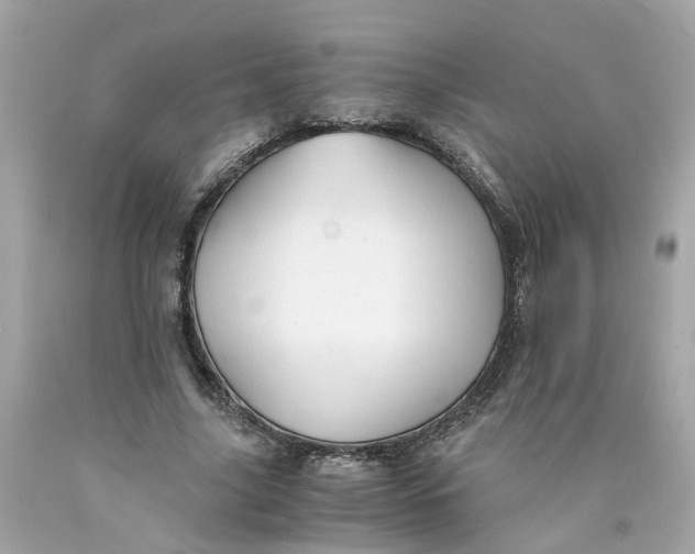 X0000089970635200707202011