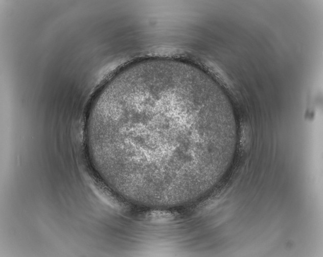 X0000089970636200707202011