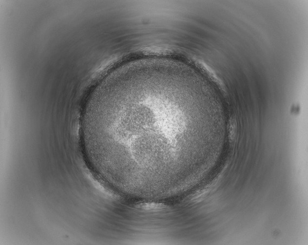 X0000089970637200707202011