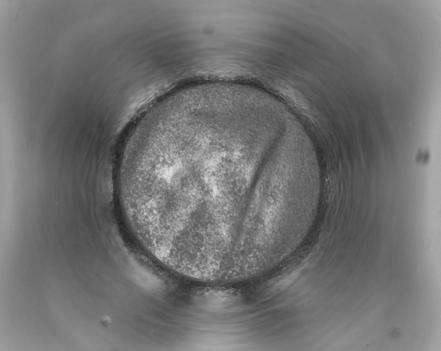 X0000089970638200707202011