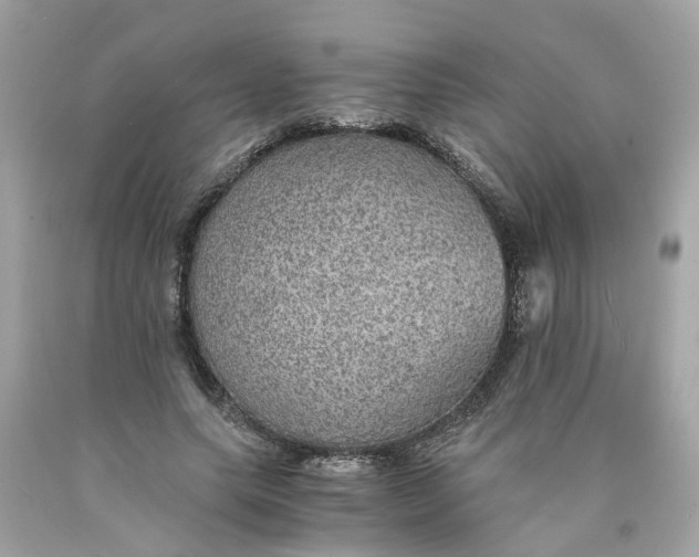 X0000089970639200707202011