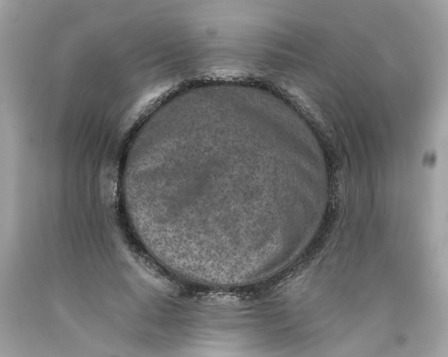 X0000089970640200707202011