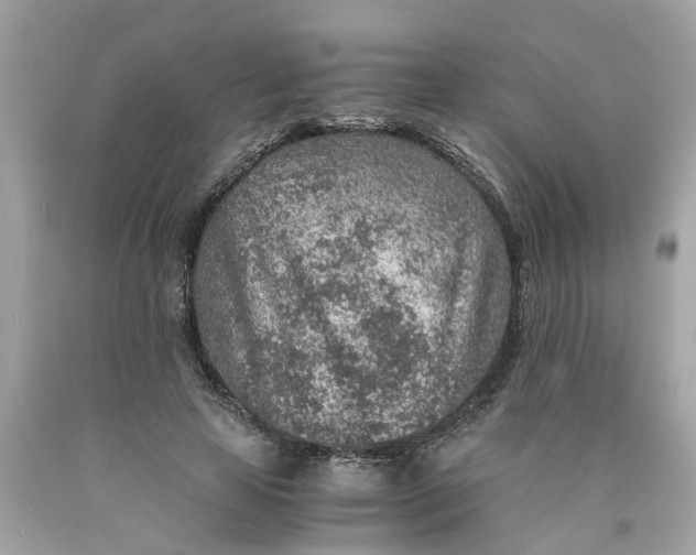 X0000089970641200707202011