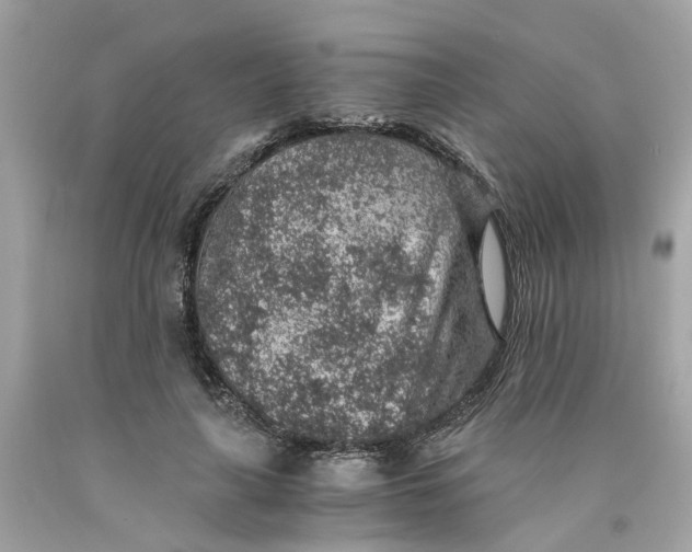 X0000089970643200707202011