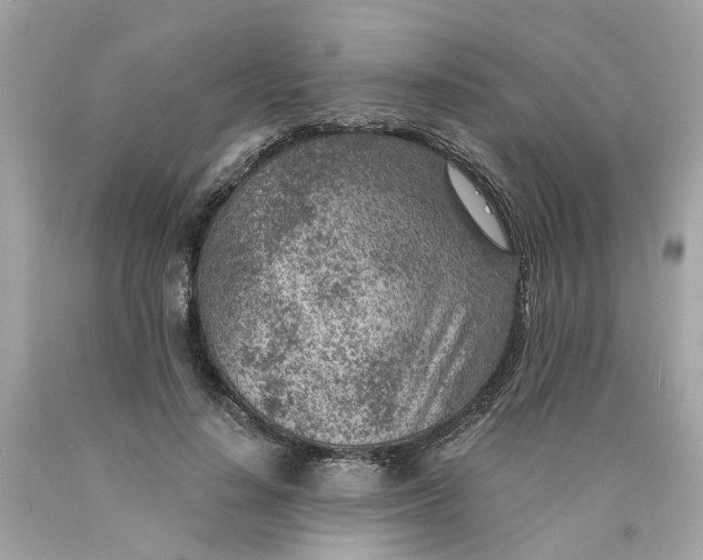 X0000089970644200707202011