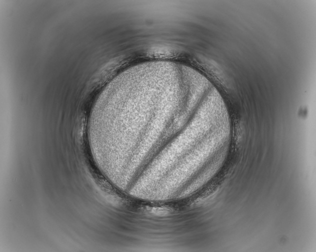 X0000089970645200707202011