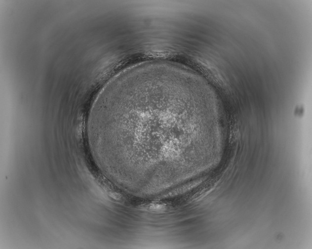 X0000089970647200707202011