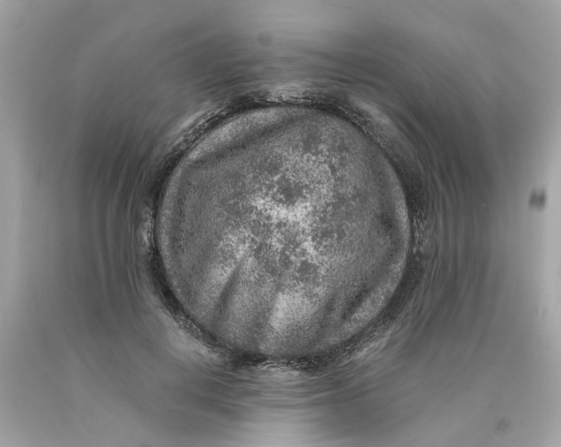 X0000089970648200707202011