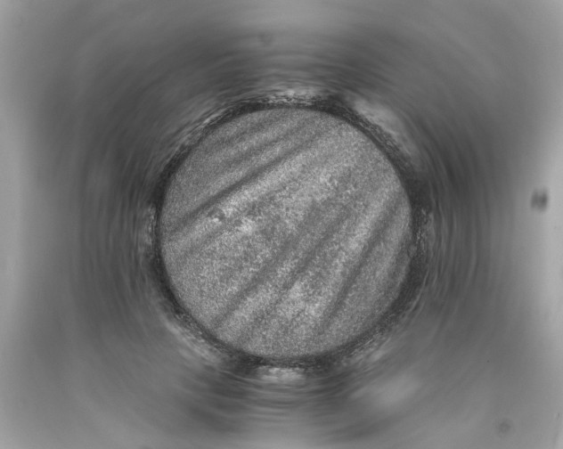 X0000089970649200707202011