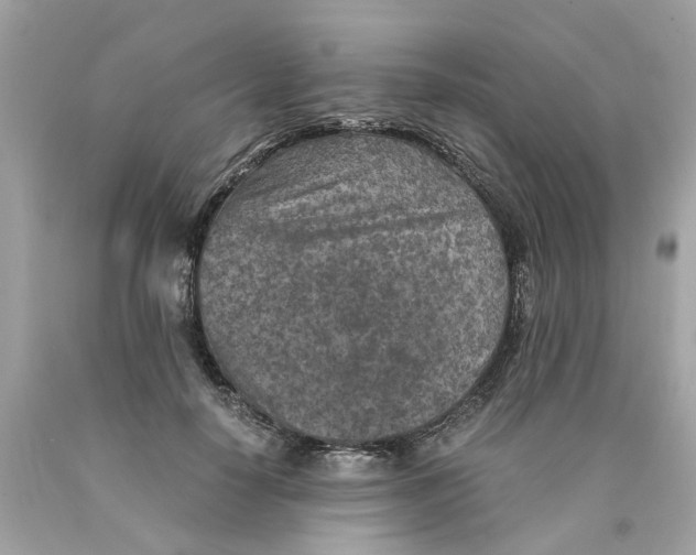 X0000089970650200707202012