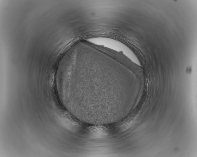 X0000089970652200707202012