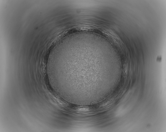 X0000089970653200707202012