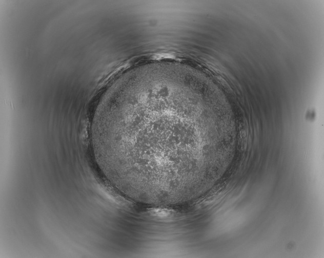 X0000089970654200707202012