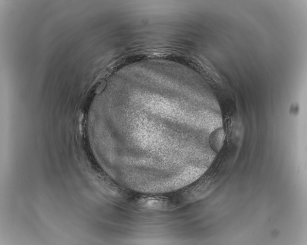 X0000089970655200707202012