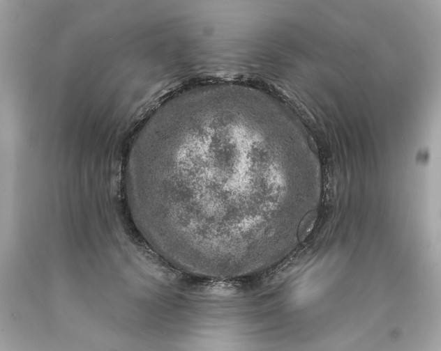 X0000089970656200707202012