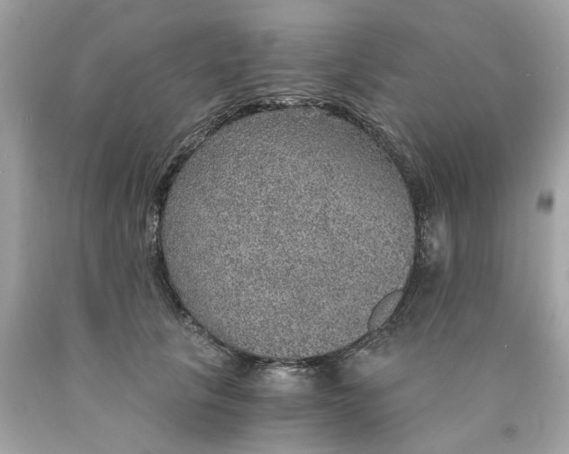 X0000089970657200707202012