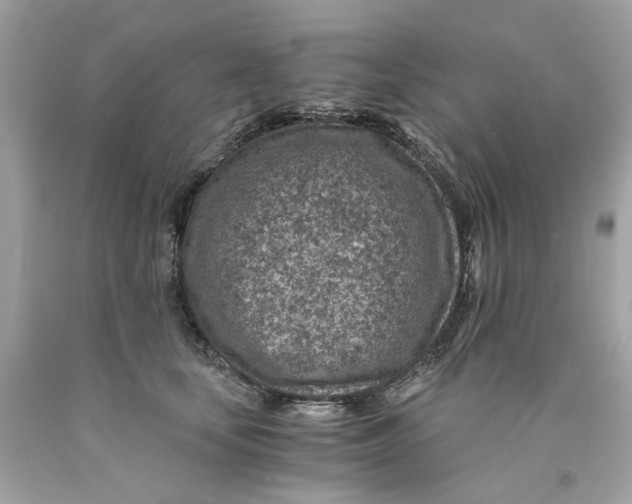 X0000089970659200707202012