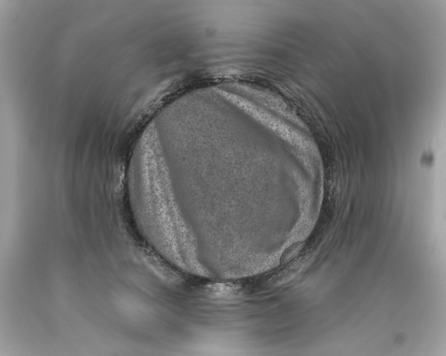 X0000089970660200707202012