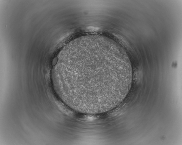 X0000089970662200707202012