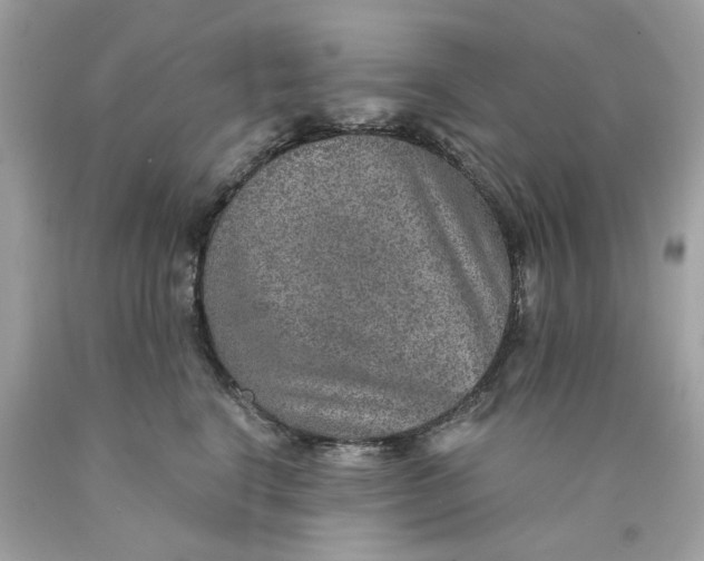 X0000089970664200707202012