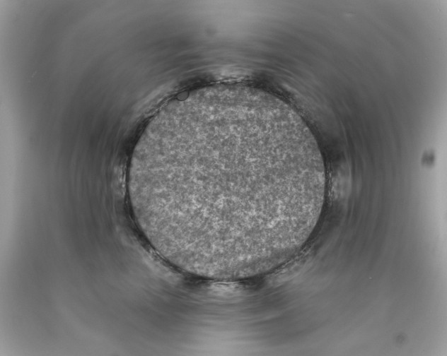 X0000089970666200707202012