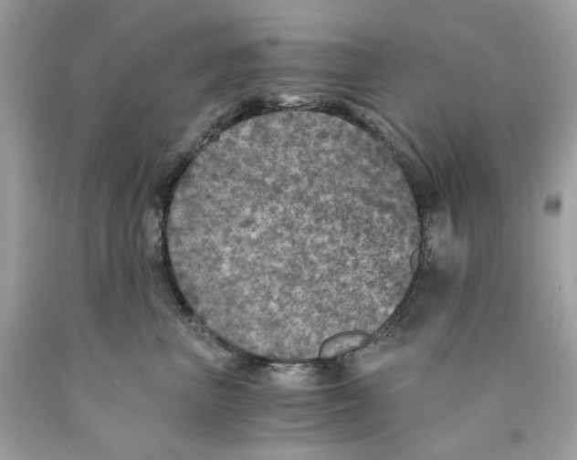 X0000089970667200707202012