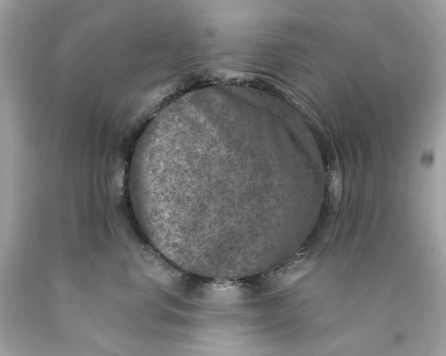 X0000089970668200707202012