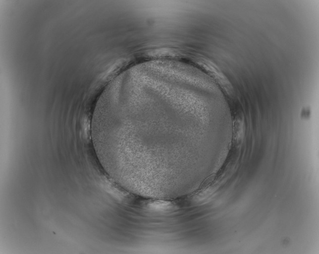 X0000089970669200707202012