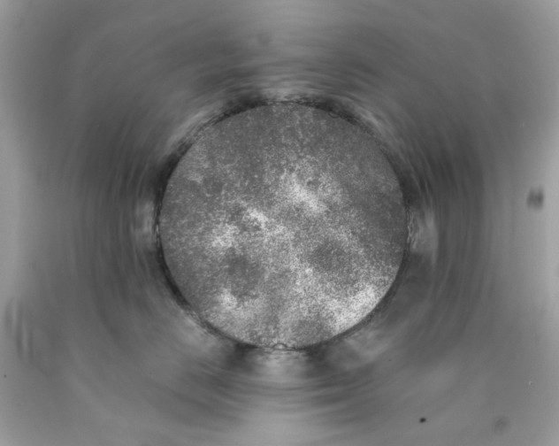 X0000089970670200707202012