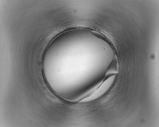 X0000089970673200707202011