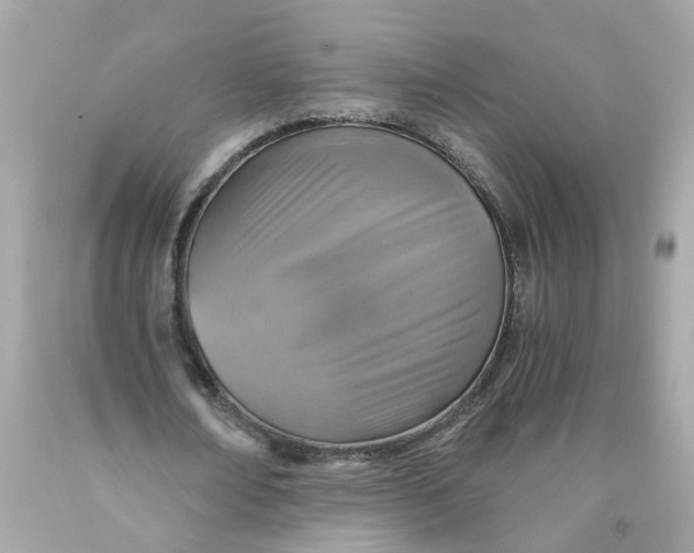 X0000089970674200707202011