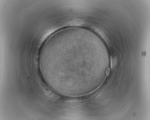 X0000089970675200707202011