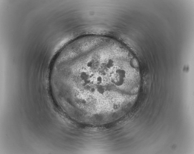 X0000089970679200707202011