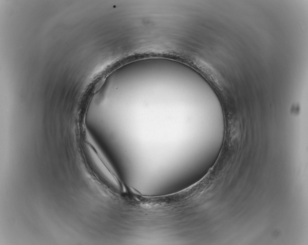 X0000089970680200707202011