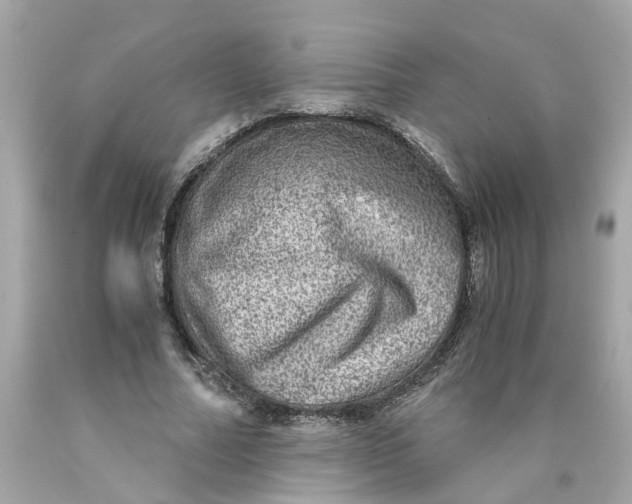 X0000089970682200707202011