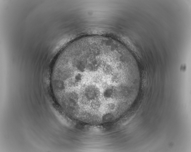 X0000089970683200707202011