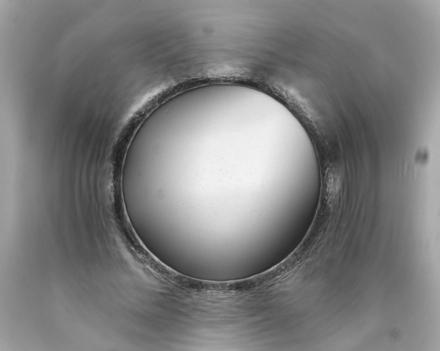 X0000089970684200707202011