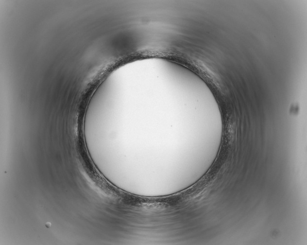 X0000089970686200707202011