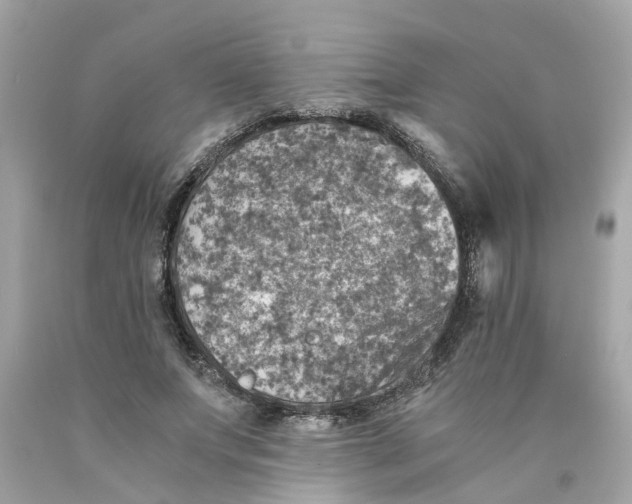 X0000089970687200707202011