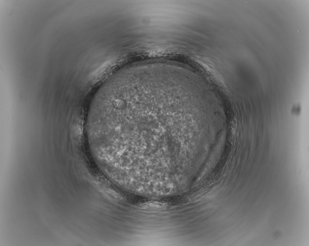 X0000089970691200707202011