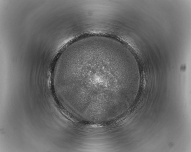 X0000089970692200707202011