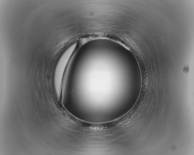 X0000089970693200707202011