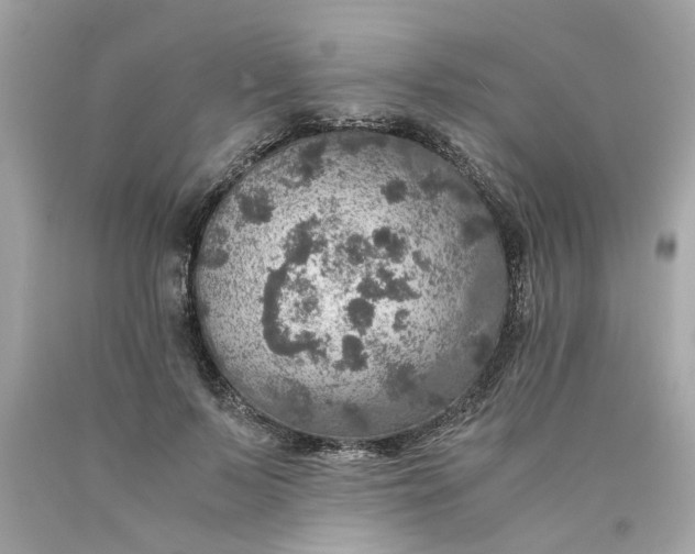 X0000089970695200707202011