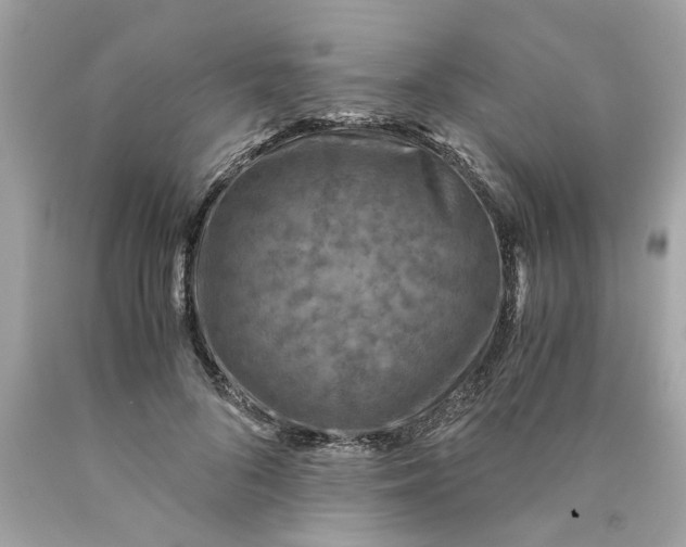 X0000089970696200707202011