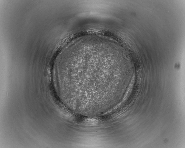 X0000089970699200707202011