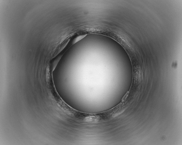 X0000089970700200707202011