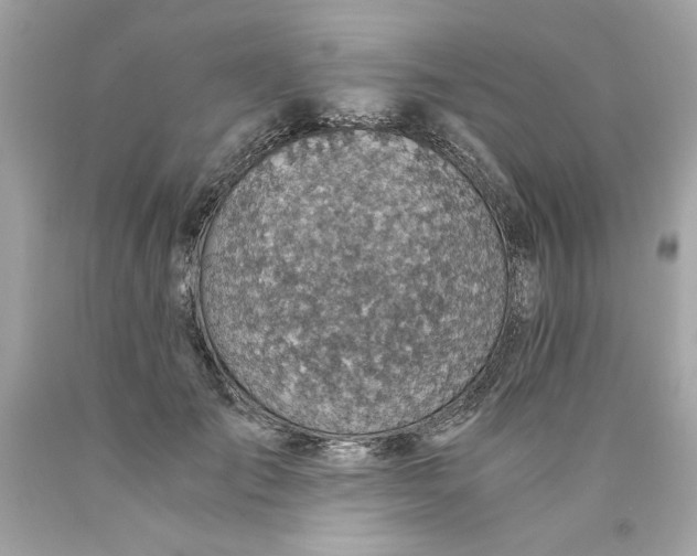 X0000089970701200707202011