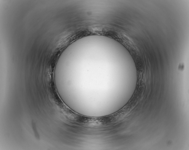 X0000089970702200707202011