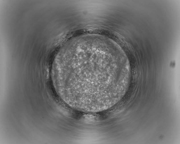 X0000089970703200707202011